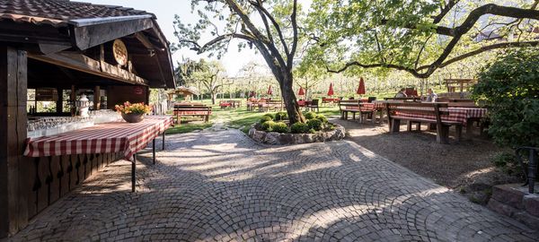 Rest and enjoyment: In the spring and summer we serve our guests dishes in our comfortable garden under ancient apple trees seldom seen anywhere else in South Tyrol.